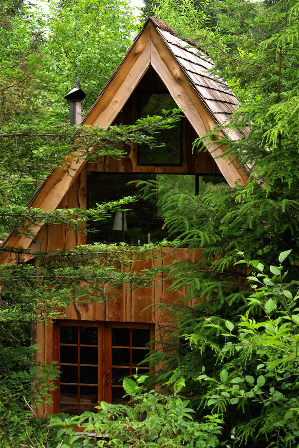tiny-cabin-built-on-11000-in-oregon-woods-1.jpg
