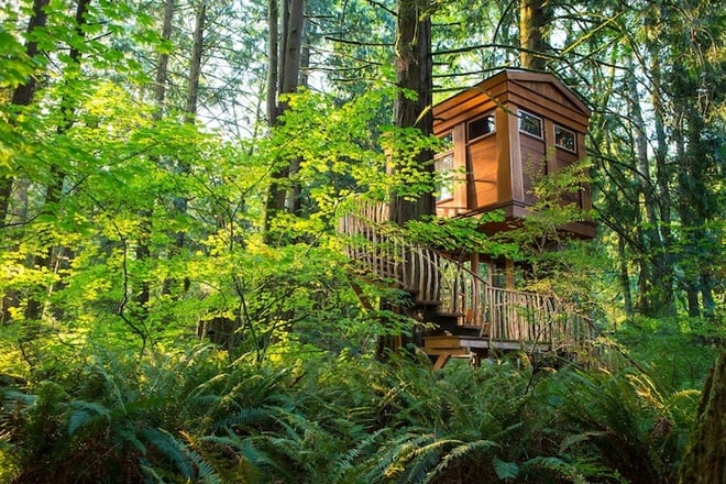 rainforest-hotel-built-in-the-trees-tree-house-point-7.jpg